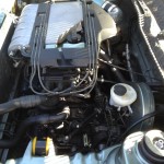 black forest industries Oktoberfest