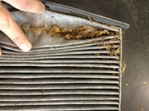 Dirty VW Pollen filter Dirty VW Pollen filter