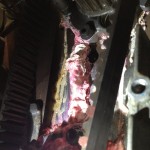 Leaking VW water pump