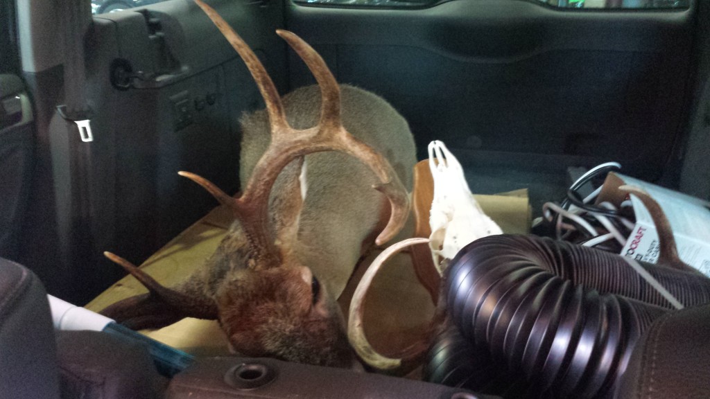 Strange things in customers cars